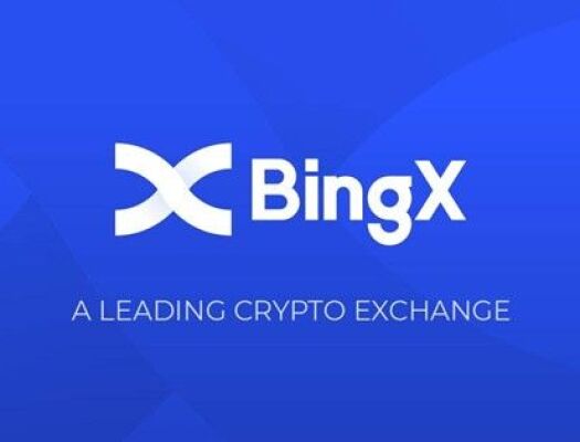 Инструкция по настройке торгового бота для BingX