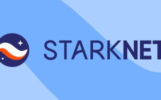 Starknet — что происходит с криптовалютой, ответы на вопросы о скаме