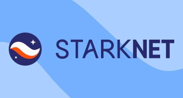 Starknet — что происходит с криптовалютой, ответы на вопросы о скаме