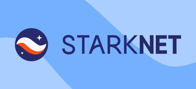Starknet — что происходит с криптовалютой, ответы на вопросы о скаме