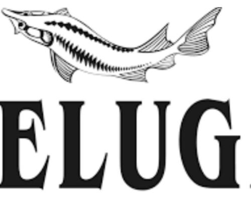 Облигации Белуга – новый выпуск ценных бумаг, особенности, способы заработка