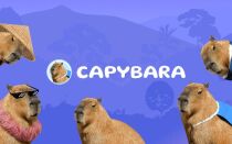 Кликер Capybara — заработок или пирамида?