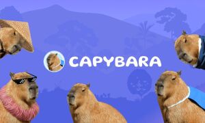 Кликер Capybara — заработок или пирамида?