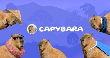 Кликер Capybara — заработок или пирамида?