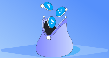 Кошелек TON — что делать, если у вас похитили деньги