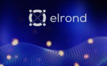 Обзор криптовалюты Elrond (EGLD) – как работает проект, его преимущества перспективы и возможности заработка в 2022 году