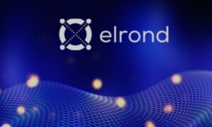 Обзор криптовалюты Elrond (EGLD) – как работает проект, его преимущества перспективы и возможности заработка в 2022 году