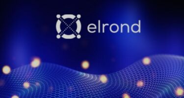 Обзор криптовалюты Elrond (EGLD) – как работает проект, его преимущества перспективы и возможности заработка в 2022 году