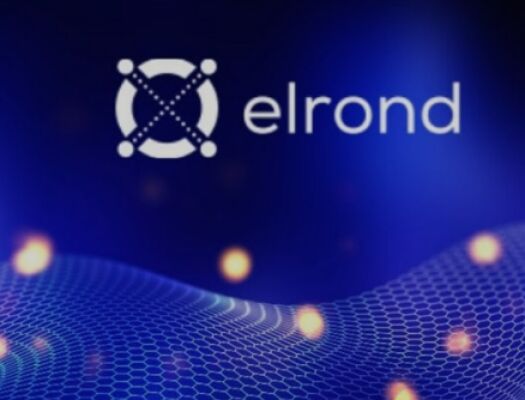 Обзор криптовалюты Elrond (EGLD) – как работает проект, его преимущества перспективы и возможности заработка в 2022 году