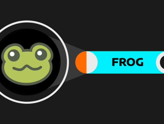 Travel Frog