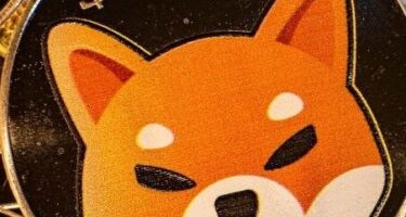 Криптовалюта Shiba Inu (SHIB) ‒ что это такое, история, разработчик, преимущества и недостатки