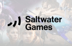 Saltwater Games — многообещающий криптопроект, который легко соскамится