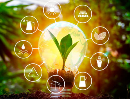 Как выбрать акции для инвестирования в энергетический сектор