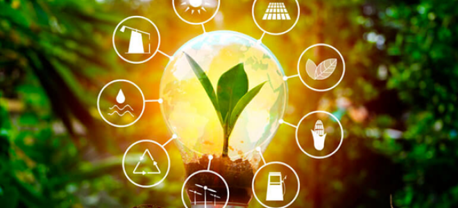 Как выбрать акции для инвестирования в энергетический сектор