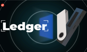 Ledger Wallet — обзор функций, решения для возврата криптовалют при потере или краже
