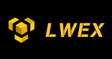 Как я потерял $4 000 на LWEX, но вернул всё до цента: личный опыт инвестора