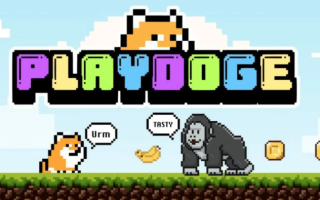 Как вывести деньги в PlayDoge — секреты успешного вывода средств из криптоигры