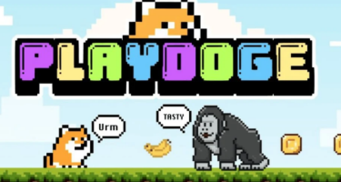 Как вывести деньги в PlayDoge — секреты успешного вывода средств из криптоигры