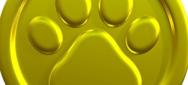 Как вывести деньги из  Nikicoin: полное руководство