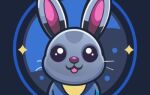 Как вывести монеты из приложения BunnyApp