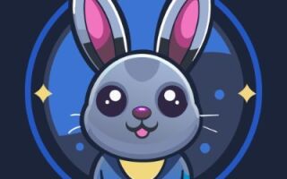 Как вывести монеты из приложения BunnyApp