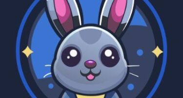 Как вывести монеты из приложения BunnyApp