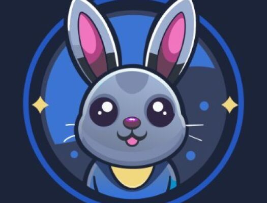 Как вывести монеты из приложения BunnyApp