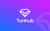 Как вернуть украденную криптовалюту с кошелька Tonhub