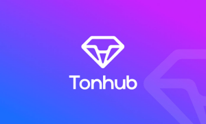 Как вернуть украденную криптовалюту с кошелька Tonhub