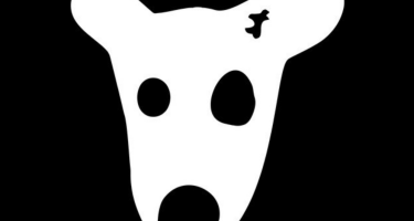 Криптоигра DOGS — как вывести деньги быстро и безопасно