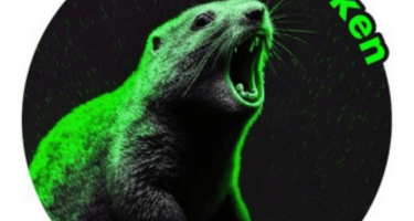 ❔ Развлечение или заработок — криптоигра Bobak