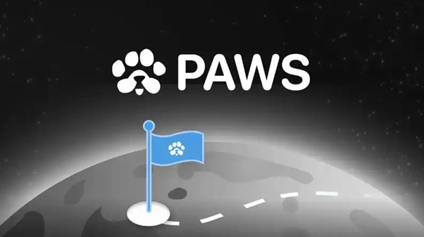 Криптоигра PAWS