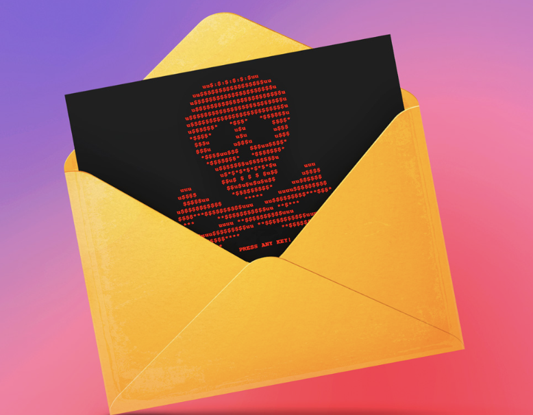 что известно? Как подделывают лицензии и регистрацию